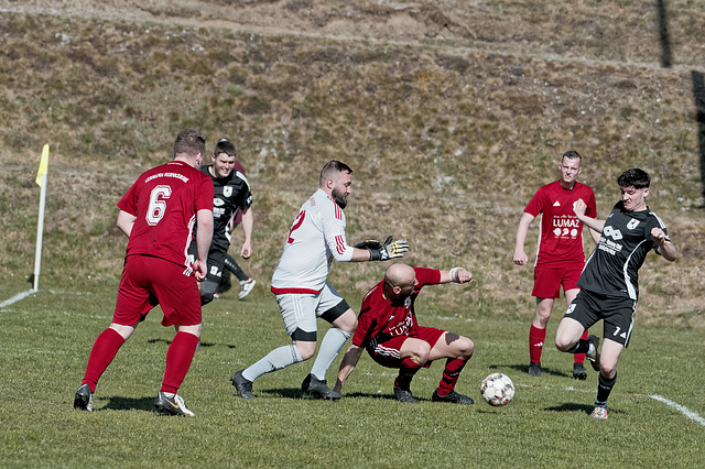 20250412_Voigtsfeld Benne, Fußball, Wildpflanzen