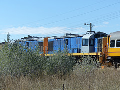 Taieri Gorge Railway (25) - 1 March 2015