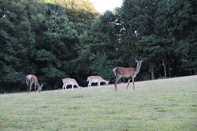 Parc Aquanature