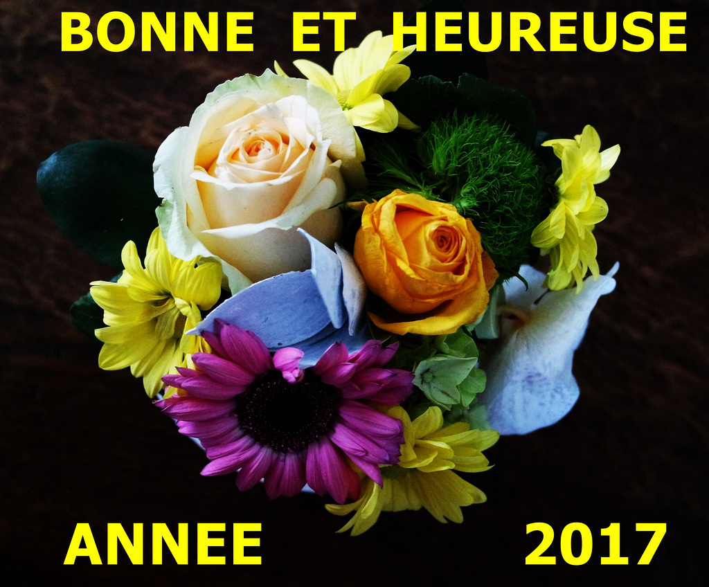 Meilleurs voeux à tous et toutes