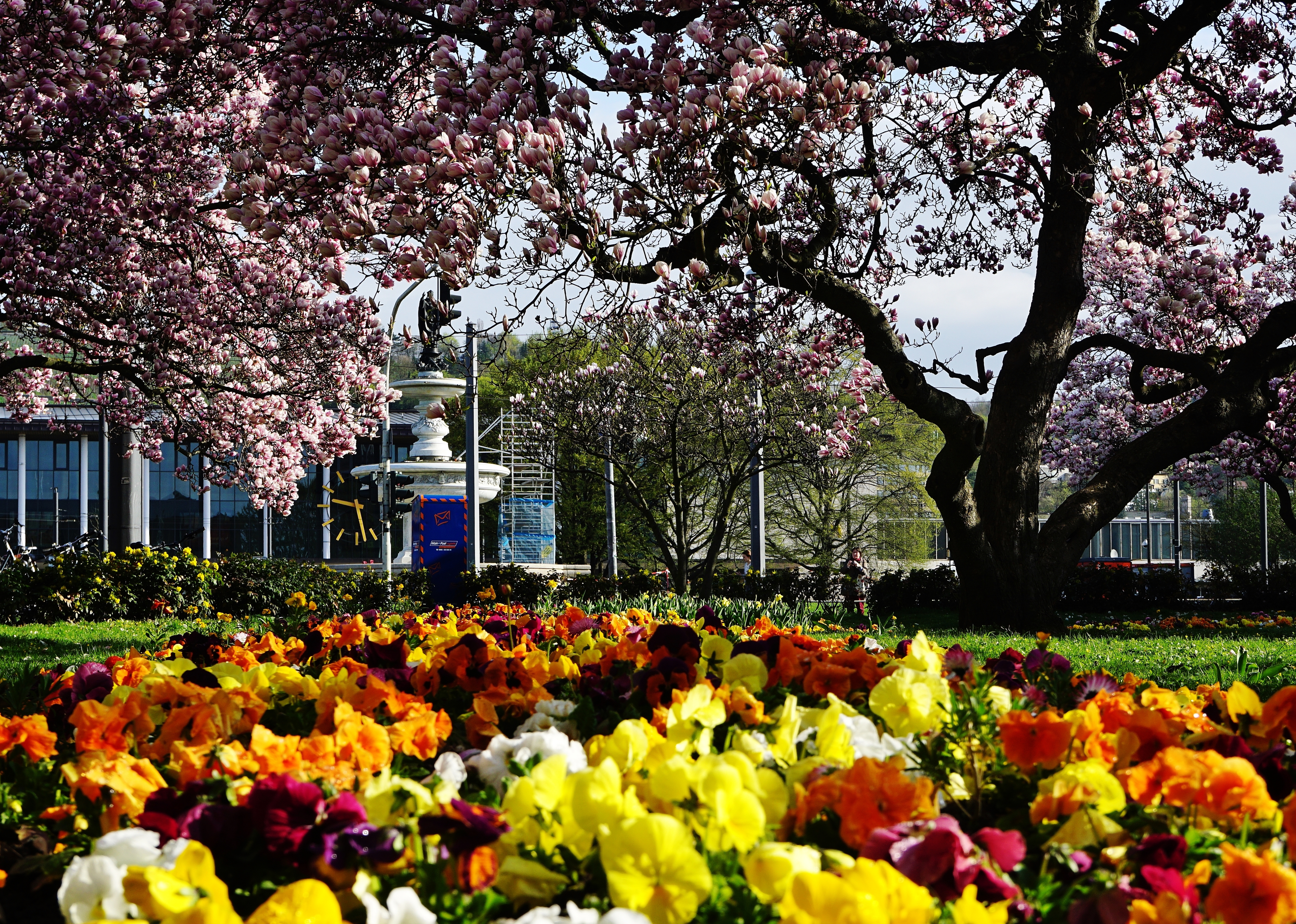 Die Landesgartenschau ist eröffnet - The horticultural show is now open