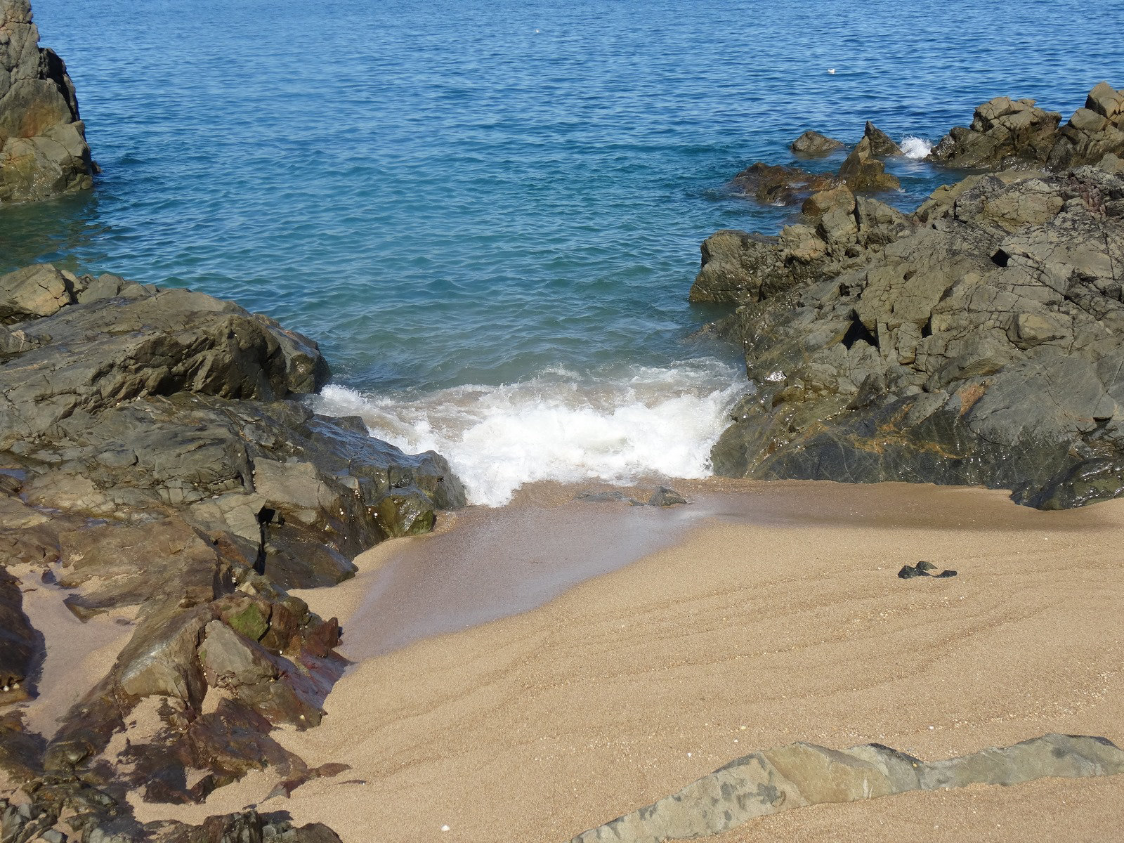 aysep2019coast (1040)