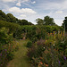 Malmesbury Abbey House Gardens