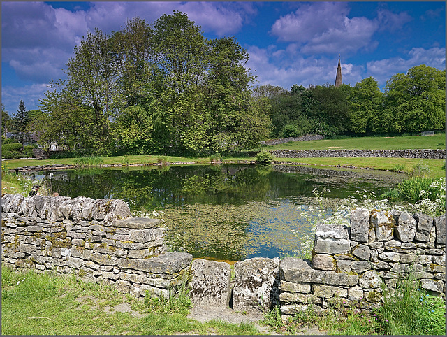 The village pond - Monyash,. H.W.W