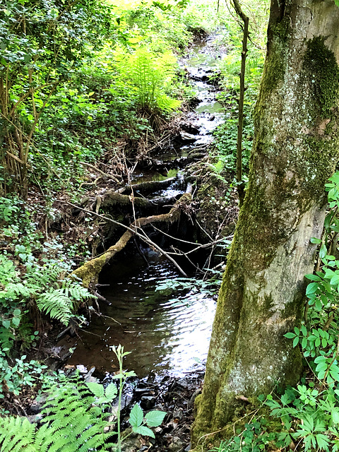 Auf dem Wanderweg Nr. 4