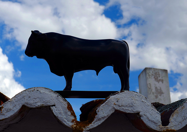 Bull & Clouds