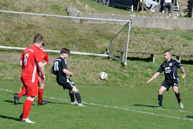 20250412_Voigtsfeld Benne, Fußball, Wildpflanzen