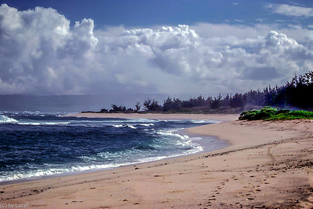 Oahu North Shore