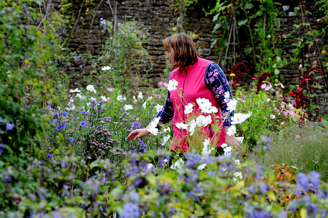 Lacock Abbey Garden