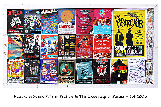 More posters outside Falmer Station - 1.4.2016