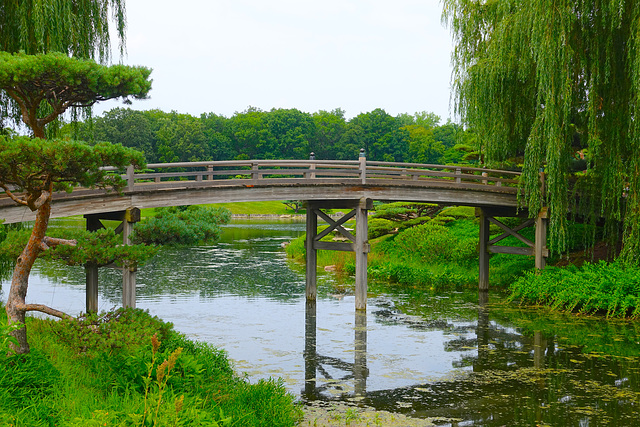 Japanese Bridge, Chicago Botanic Garden