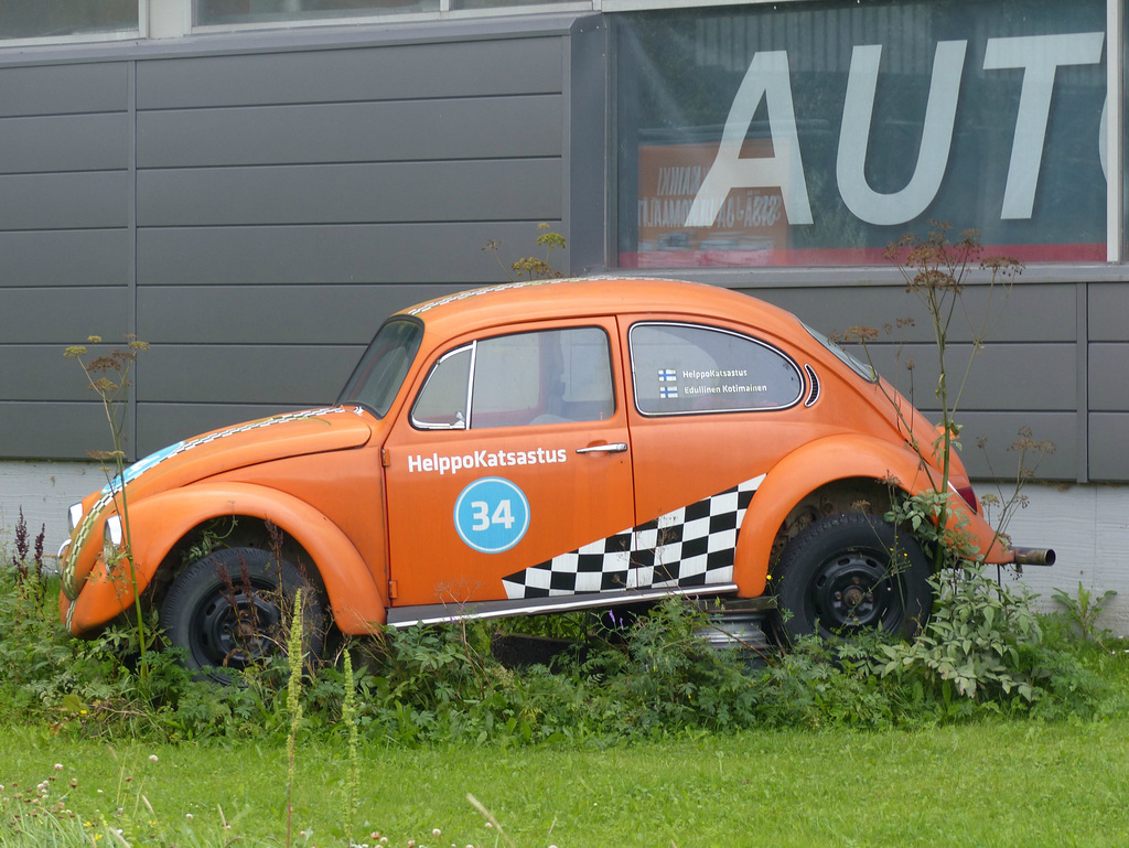 Beetles around Helsinki (17) - 9 August 2016