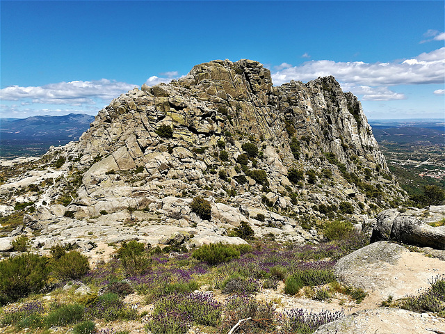 granite and lavender