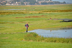 Baie de Somme