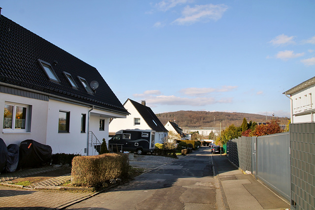 Im Braucke (Hagen) / 7.03.2021