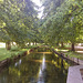 Longford River - Bushy Park