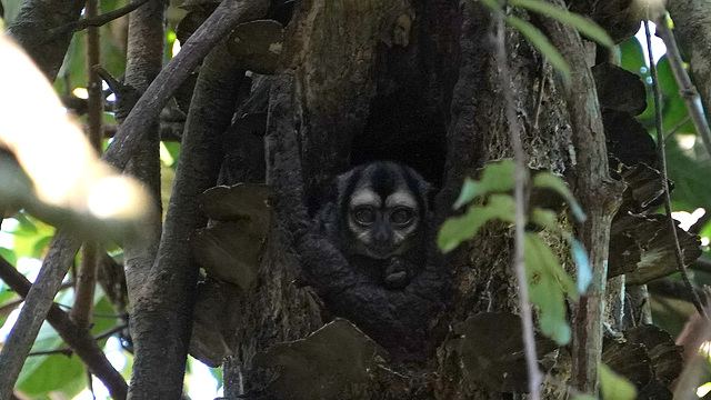 DSC01243a