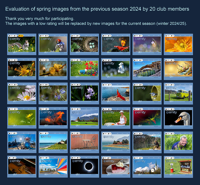 Evaluation of Spring Images 2024