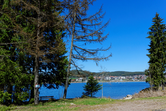 Blick über den See zur Ortschaft Schluchsee (© Buelipix)