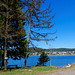 Blick über den See zur Ortschaft Schluchsee (© Buelipix)