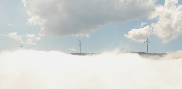 “The Windmills of your Mind”