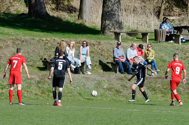 20250412_Voigtsfeld Benne, Fußball, Wildpflanzen