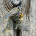 Around The Blue Tit Nest 9