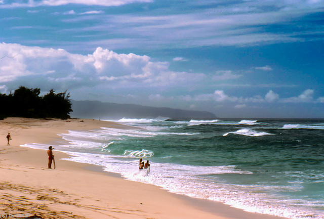 Oahu North Shore - Surfers Paradise! - Dec. 1980