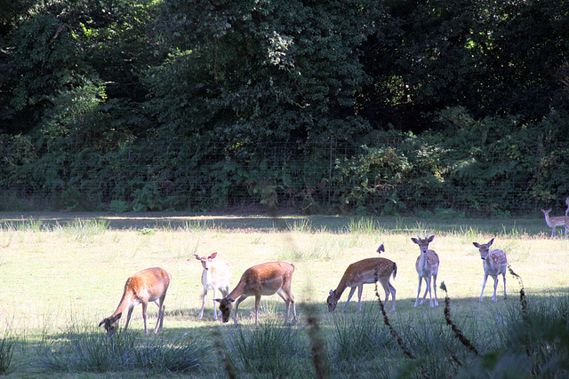 Parc Aquanature