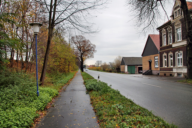 Hammer Straße (Unna-Königsborn) / 25.11.2017