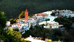 La zaouïa de Sidi Benamar .
