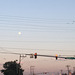IMG 9491
