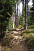 A Forced March on the Howlock Trail at Diamond Lake