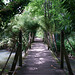 Malmesbury Abbey House Gardens