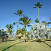 Dominican Republic, Park with Lawns at the Ocean Blue & Sand Hotel