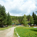 Bulgaria, Road to Belitsa Bear Sanctuary