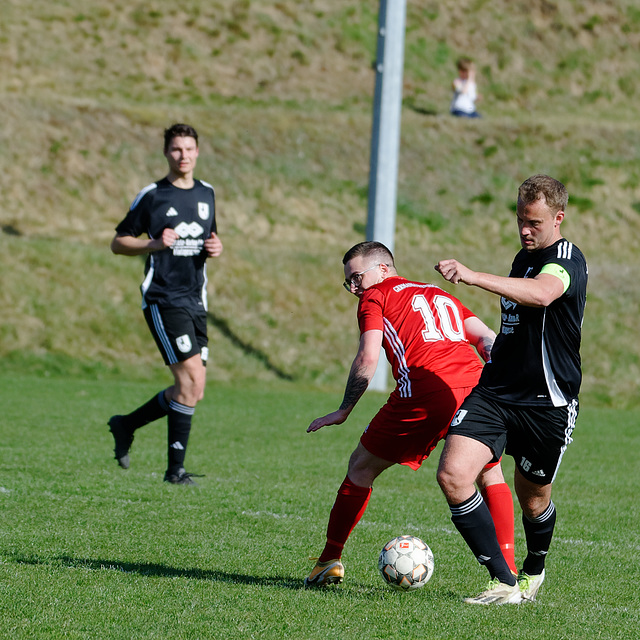 20250412_Voigtsfeld Benne, Fußball, Wildpflanzen