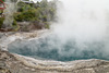 Neuseeland - Rotorua - Whakarewarewa