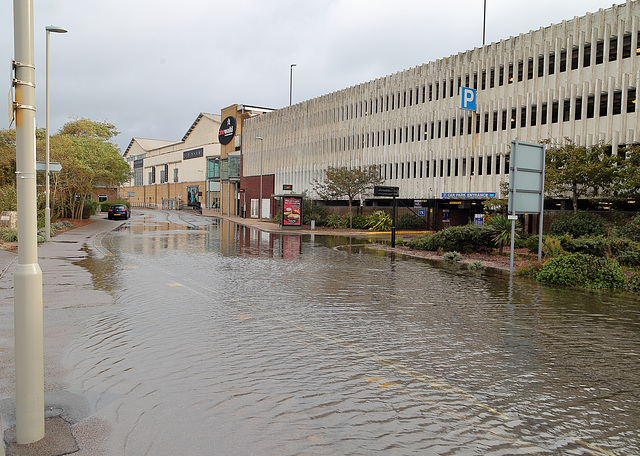 EOS 6D Peter Harriman 09 36 59 03988 Flooding dpp