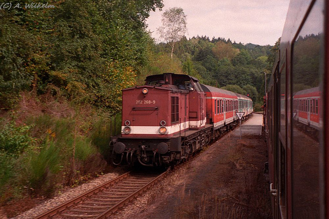 BÖ0018565