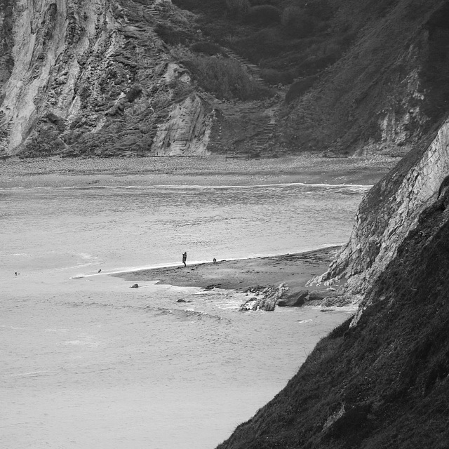 wild swimming 5 B&W