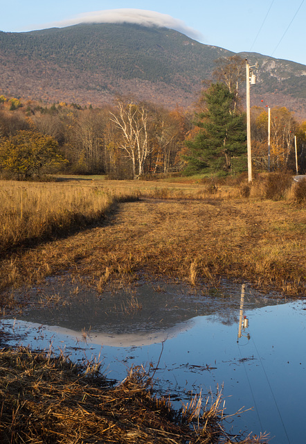 Roadside reflection