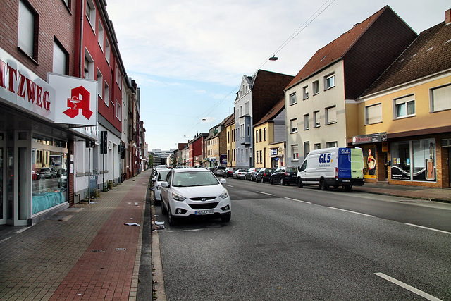 Werler Straße (Hamm) / 6.07.2024