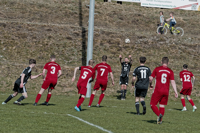20250412_Voigtsfeld Benne, Fußball, Wildpflanzen