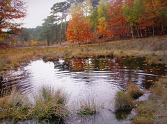 Our beauty heath Our beauty heath