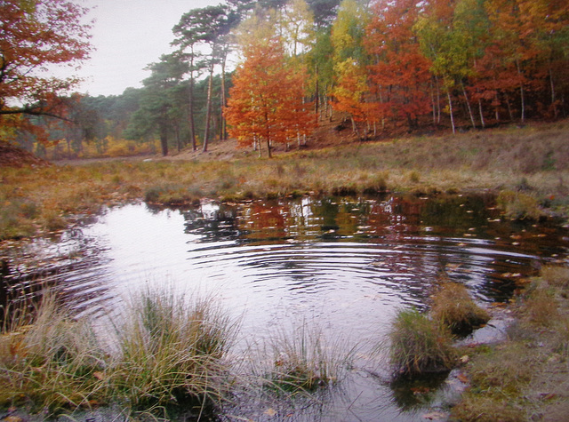 Our beauty heath