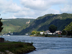 Burg Maus über dem Rheintal