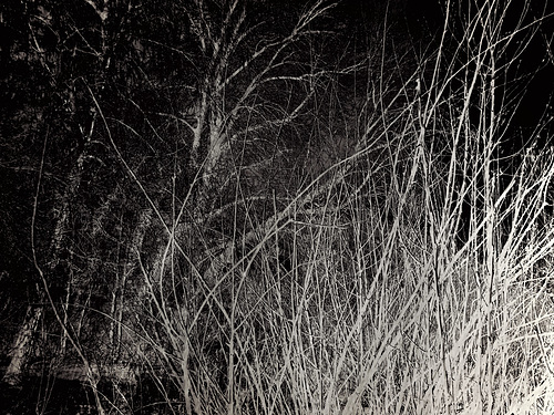 Nightfall