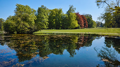 Der Schlosspark im satten Frühlingslicht