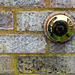 Wall and door bell